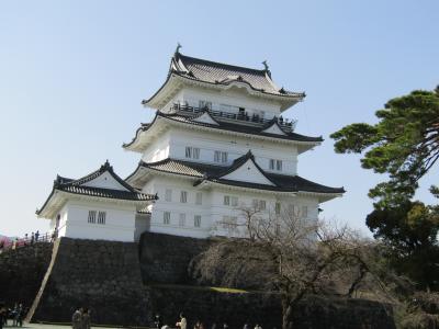 小田原城ー2023年春