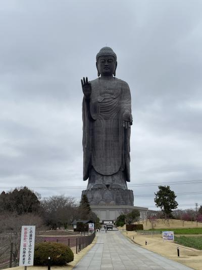 初めての茨城県・牛久大仏の大きさに圧倒された県南エリアの旅