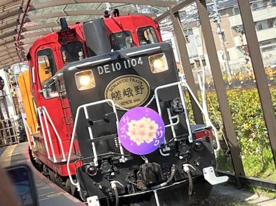 ⑤桜満喫　マダムの春旅イン京都　2日目の1  嵯峨野のトロッコ列車往復乗車　トロッコ嵯峨～トロッコ亀山～トロッコ嵐山