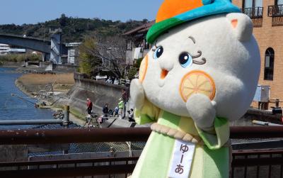 和歌山県 湯浅町シロウオまつりと重伝建「醤油の町」
