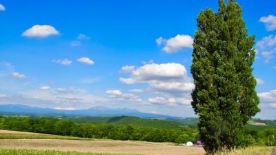 旅する車いす★富良野・美瑛日帰りの旅 美瑛編 絵葉書のような丘を巡る