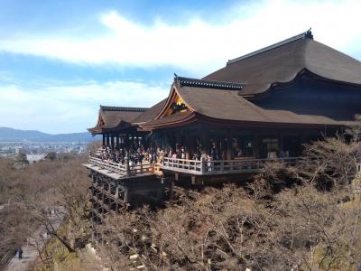 鶴橋へ焼肉を食べに＆ウン十年ぶりの京都へ～2日目　まったり京都観光
