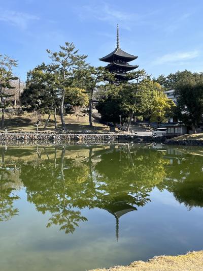 いにしえの奈良の都の八重桜２