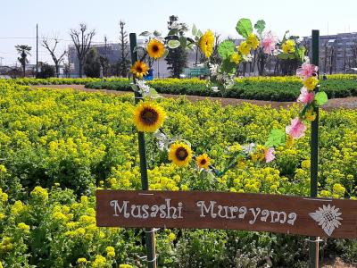 一人歩き・菜の花ガーデン