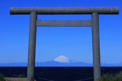 草花がささやく 春便り　房総散歩♪　