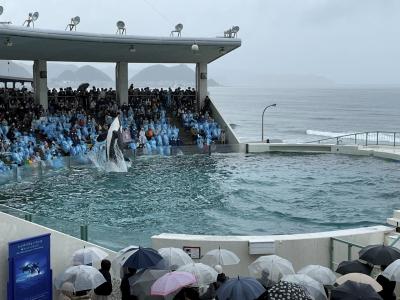 仔猫といっしょ計画（千葉旅行２０２３　１日目 鴨川編）