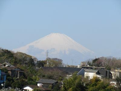 北鎌倉雲頂庵の富士山のビュースポットと枝垂れ桜