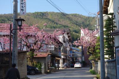 一人旅・東京～野沢温泉～観光列車快速おいこっと