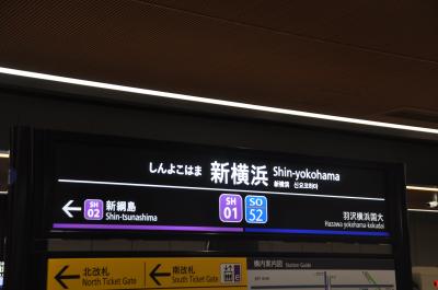 2023年3月首都圏日帰り鉄道旅行2（東急・相鉄新横浜線）