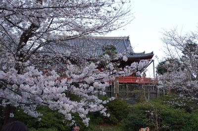 20230322-2 上野 夕暮れの上野恩賜公園の桜は、満開…手前くらいかしら。かなりの人出で。