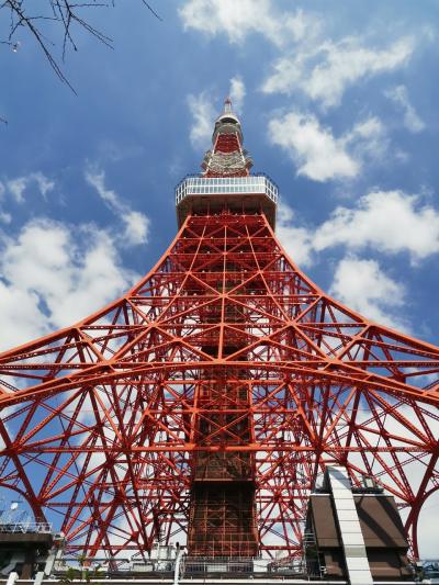 2023年3月　東京タワーと桜と石原裕次郎のお墓