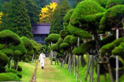 仰天！「きのこ杉」總光寺と酒田日和山散歩。湯野浜温泉いさごやで夕陽の露天風呂。