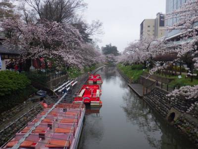 北陸紀行2023春②（富山編）