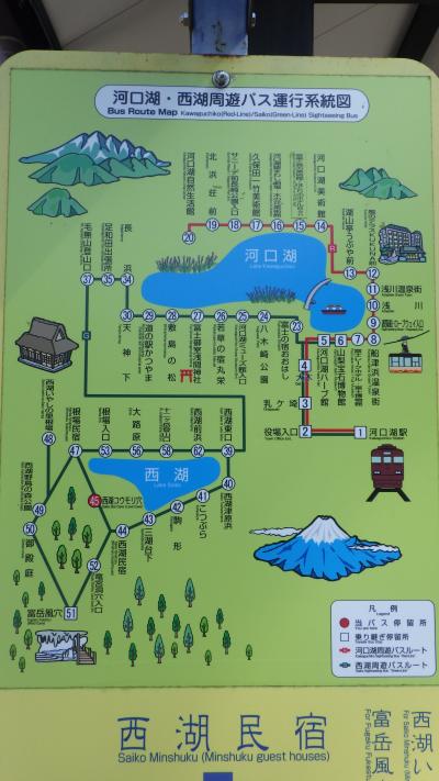 富士山が見たくて山梨 NO3 青木ｹ原樹海を歩きたくて西湖に