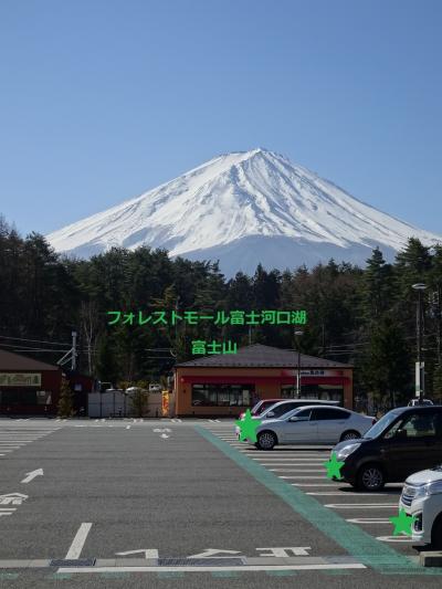 【車旅】フォレストモール富士河口湖/桜*咲いていない修善寺桂川で露天風呂付き客室でまったり