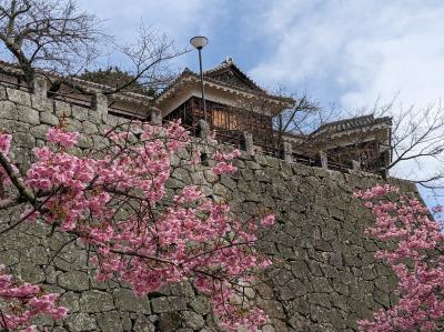 23年3月雨の道後温泉、青空の松山城