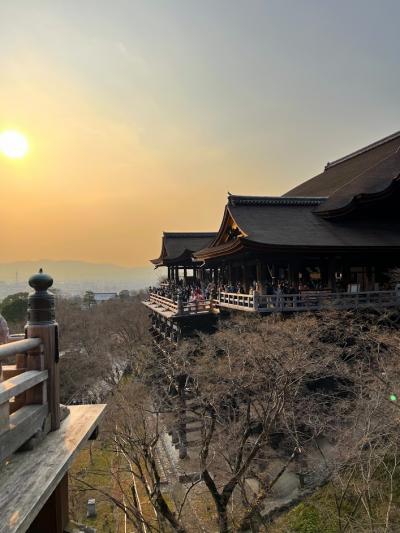 京都旅　圓徳院　高台寺　清水寺