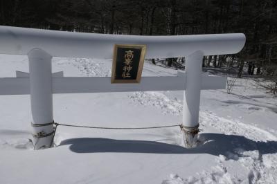 愛犬と一緒の信州冬旅♪　Vol.77　白銀世界の高峰高原　愛犬と一緒に遊ぶ♪