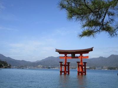 今年最初の桜景色は厳島神社にて　2023.03
