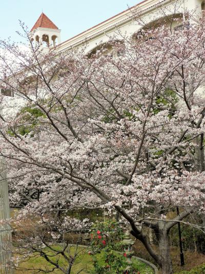 春爛漫の神戸しあわせの村　その２