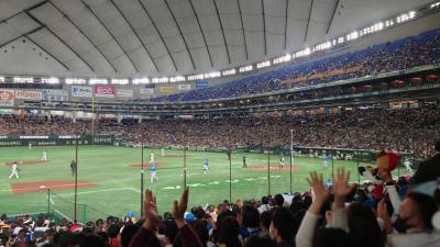 2023年3月　東京ドーム野球観戦記♪オープン戦♪ドームに歓声と応援歌が戻ってきた！