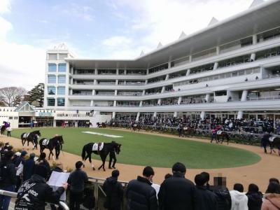 たまにはベタなギャンブルめし2301　「中山競馬場で、梅屋の煮込み＆鳥千のチキンカツをいただきました。」　　　～船橋・千葉～