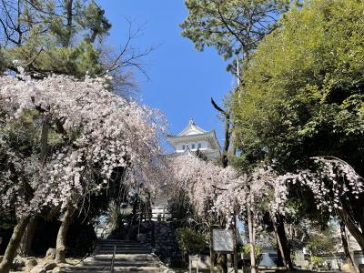 大垣・関ヶ原旅行記