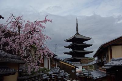 京都訪問2023①（京都の桜を見に行く：京都市内・清水寺、清水坂、二年坂）