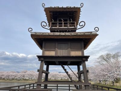 奈良　唐子・鍵遺跡　史跡公園の桜並木