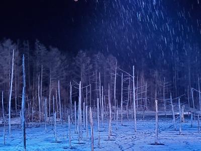 冬でも春でもない北海道へ行ってみた