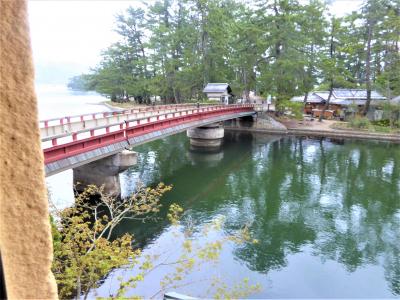 雨と桜の天橋立・伊根 列車旅 ②（旅館　対橋楼編）