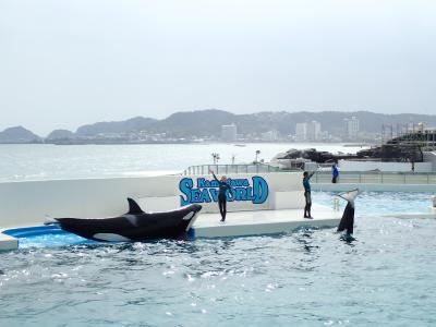 鴨川シーワルードと菜の花 2