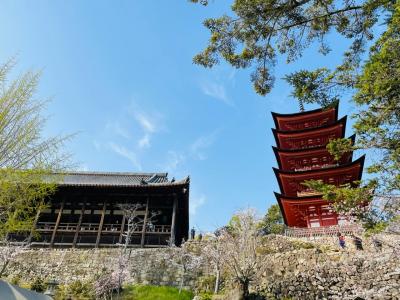 ソロ旅★3月★江田島荘ワーケーション＆厳島神社＆広島観光（後編）
