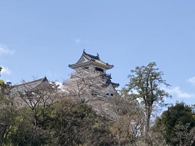 初上陸の高知県☆高知県のみなさんに癒された～＼(^o^)／