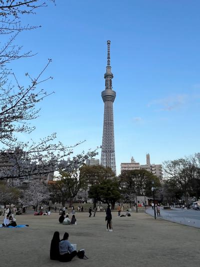 シンガポールから遊びに来た友人と隅田公園でお花見　その１