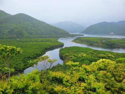 奄美大島に行きたくて。