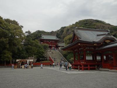 鶴岡八幡宮に参拝。ここは階段が長くてたいへん。