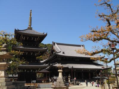 水間寺へ再挑戦のお参りに、桜もきれいです