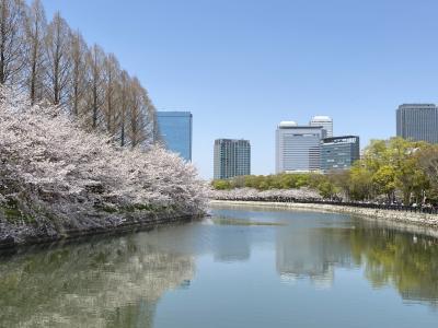 2023春：大阪城の桜とJR大阪駅うめきた地下口