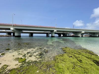 ４泊５日沖縄旅行①