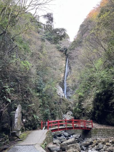 日帰りで道の駅足柄　金太郎のふるさと、丸太の森、洒水の滝に行きました