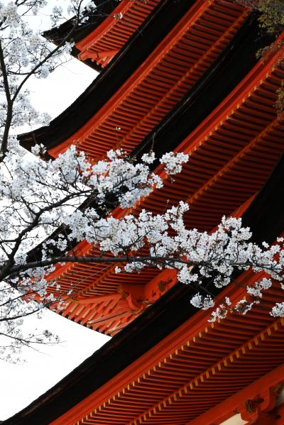 安芸の宮島へ行ってみた　