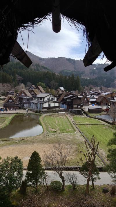 「飛騨牛しゃぶしゃぶ食べ放題」！世界遺産・白川郷＆風情ある街並み「飛騨高山」フリータイム２日間