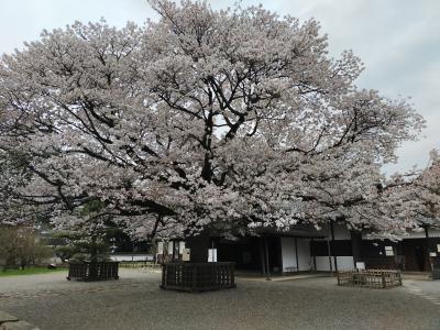 茨城、福島