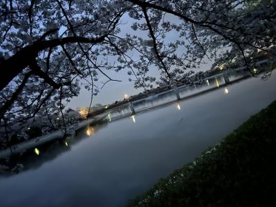 波志江沼環境ふれあい公園