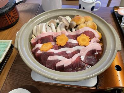 2023年 紀伊半島の温泉と桜など-C（十津川・上湯温泉 神湯荘、吉野）