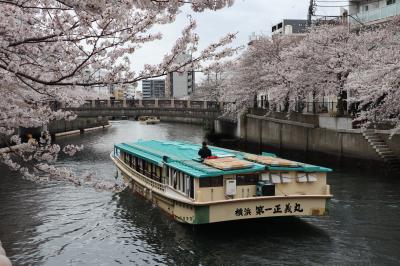 横浜　２０２３年の春をぶらぶら