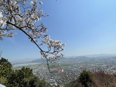 滋賀近江八幡爽やか旅行！…桜三昧…後半ひとり旅編！