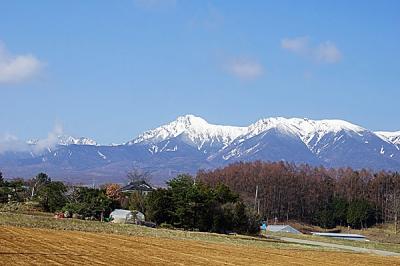 樹齢2000年の桜を愛でに