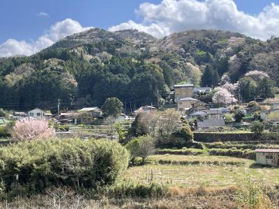 春の湯ヶ島温泉「嵯峨沢館」に泊まる